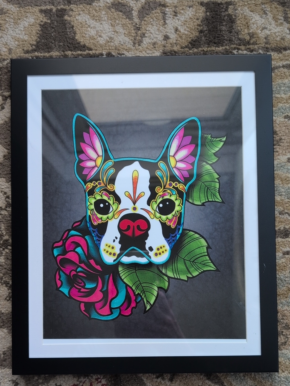 Framed Boston Terrier Illustration